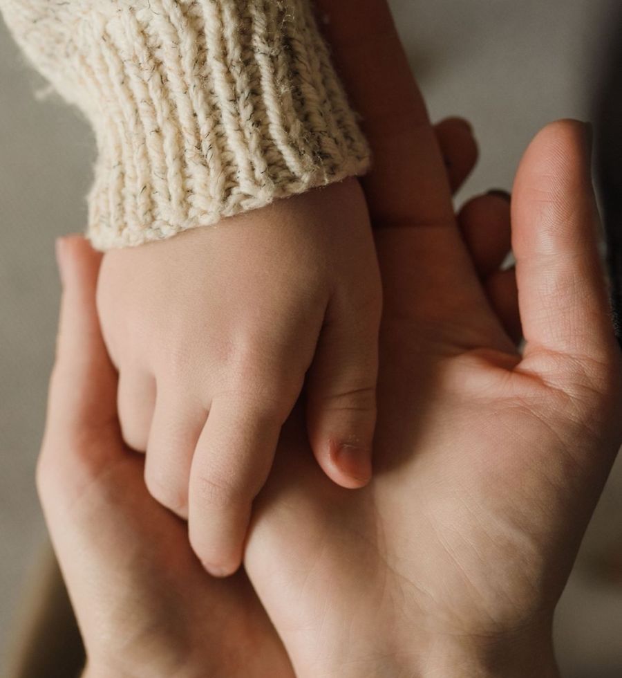 Acompanyament a famílies des de la mirada sistèmica